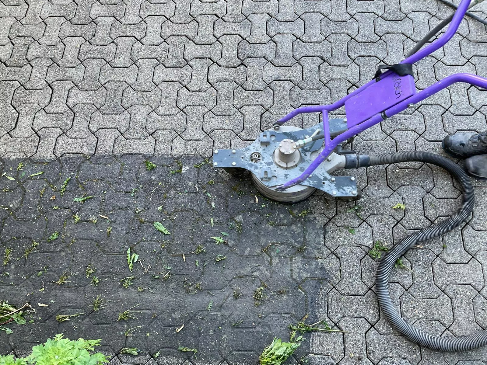 Vorplatzreinigung, Probefläche, mario Ender Flächenreinigung, Steinexperte, Steinreinigung, altach, Vorarlberg Vorplatzreinigung, Probefläche, mario Ender Flächenreinigung, Steinexperte, Steinreinigung, altach, Vorarlberg