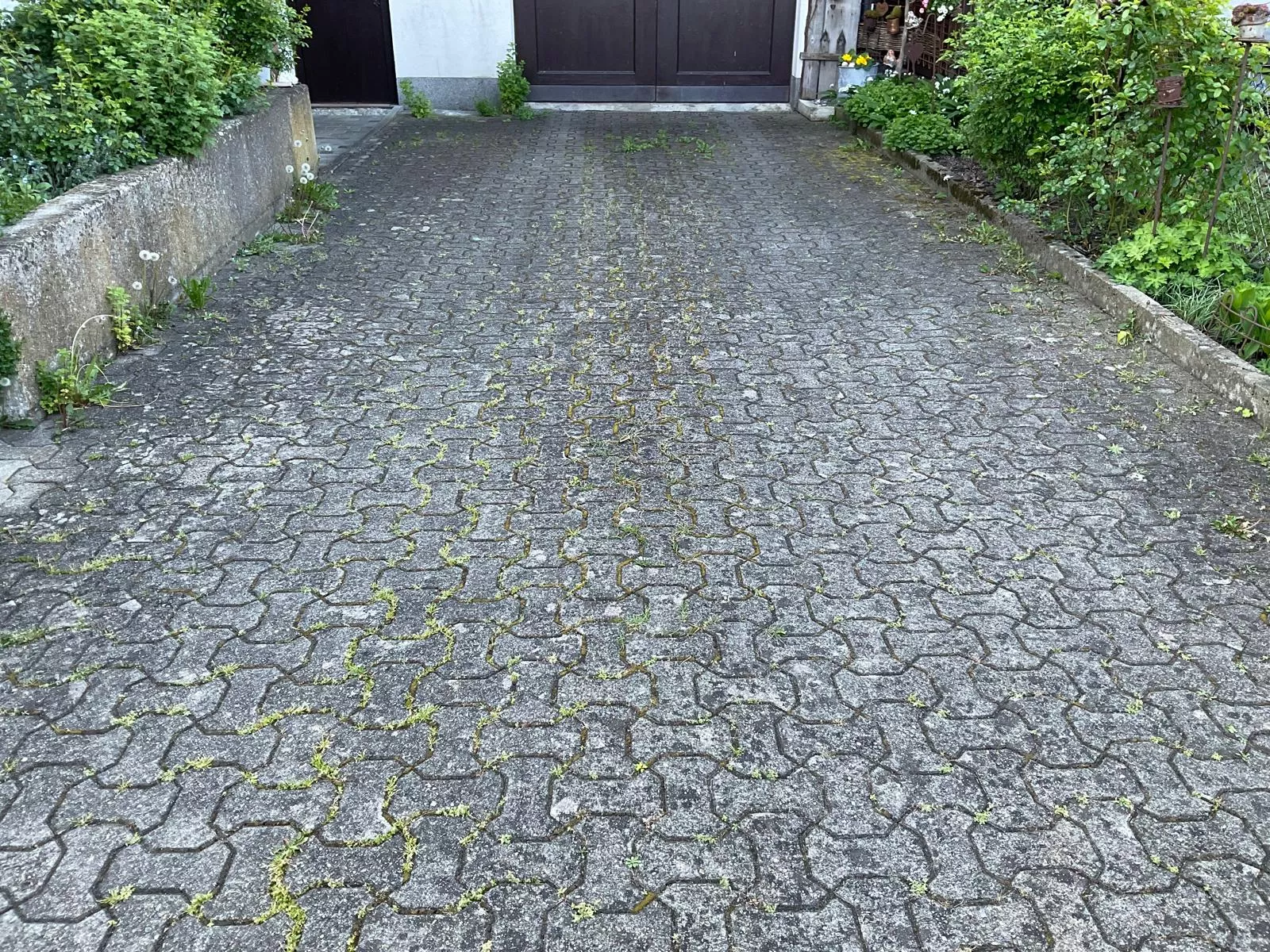Vorplatzreinigung, Probefläche, mario Ender Flächenreinigung, Steinexperte, Steinreinigung, altach, Vorarlberg Vorplatzreinigung, Probefläche, mario Ender Flächenreinigung, Steinexperte, Steinreinigung, altach, Vorarlberg