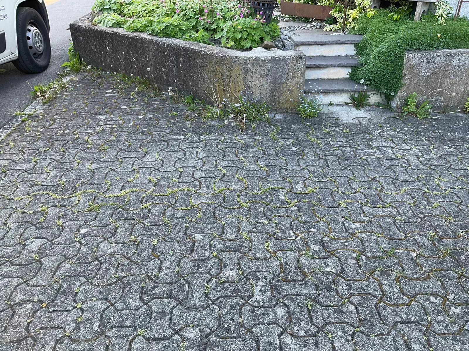 Vorplatzreinigung, Probefläche, mario Ender Flächenreinigung, Steinexperte, Steinreinigung, altach, Vorarlberg Vorplatzreinigung, Probefläche, mario Ender Flächenreinigung, Steinexperte, Steinreinigung, altach, Vorarlberg